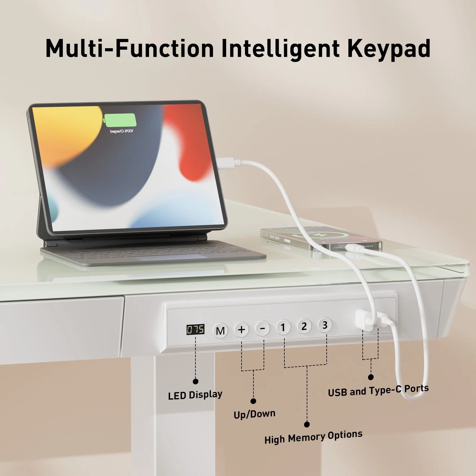 Glass Top Electric Standing Desk with Drawer, 55'' X 28'' Electric Height Adjustable Desk with USB Charging Ports, Sit Stand up for Home Office